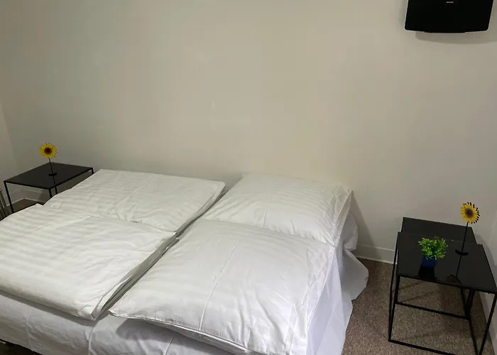 Nostalgie - Perle Plauen-zentrum & S-bahn Naehe Fuer Bis Zu 6 Personen Im Eg, Sehr Ruhige Lage & Ebk & Pkw-stellplatz Lejlighed *